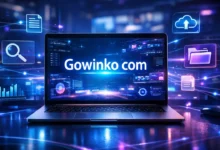 Gowinko com